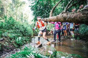 BIB: 
                            <button type="button" onclick="openModal(25514267)" class="btn btn-primary btn-sm float-right btn-popup" data-toggle="modal" data-target=".modal-high-quality">
                        <i class="fas fa-shopping-cart"></i> Add to Cart
                    </button>
                                            <button type="button" onclick="isThisMe(25514267, true)" class="btn btn-success btn-sm float-right btn-popup btn-isme hidden" data-toggle="tooltip" data-placement="bottom" title="นี่คือรูปของคุณใช่ไหม คลิกที่นี่เพื่อเอาเข้าอัลบั้ม">
                        <i class="fas fa-plus"></i> Add to album
                    </button>
                    <button type="button" onclick="isThisMe(25514267, false)" class="btn btn-warning btn-sm float-right btn-popup btn-isnotme hidden">
                        <i class="fas fa-ban"></i> Remove from album
                    </button>